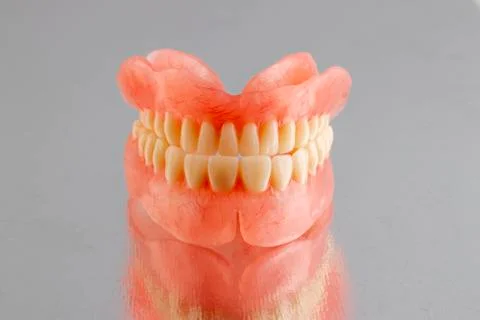 False prosthesis, jaw, teeth. Stock Photos