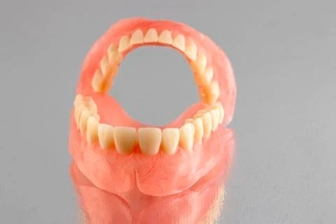 False prosthesis, jaw, teeth. Stock Photos