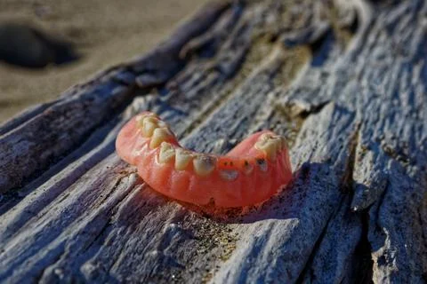 False teeth at the beach Stock Photos
