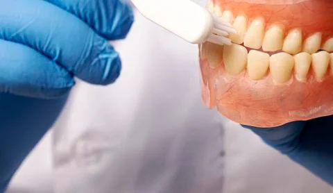 False teeth prosthesis. Doctor Dentist. Stock Photos