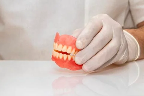 False teeth prosthesis. Doctor Dentist. Stock Photos