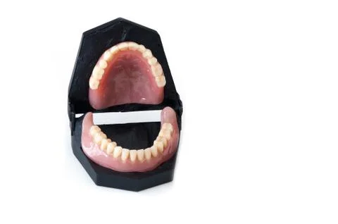False teeth on white background Stock Photos