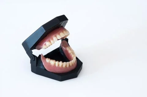 False teeth on white background Stock Photos