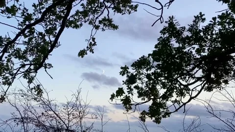 Famed Waning Crescent Moon Vídeo Stock 221507758