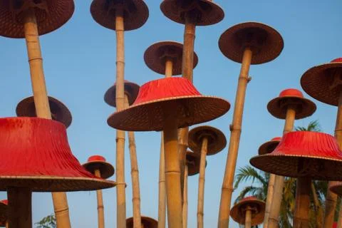 Famer hat fastival in thailand Stock Photos