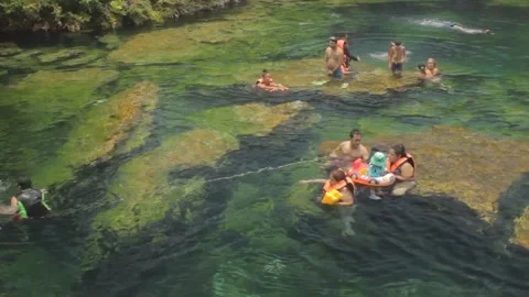 Families have fun while floating on cenotes in Yucatan peninsula region Stock Footage 155617800