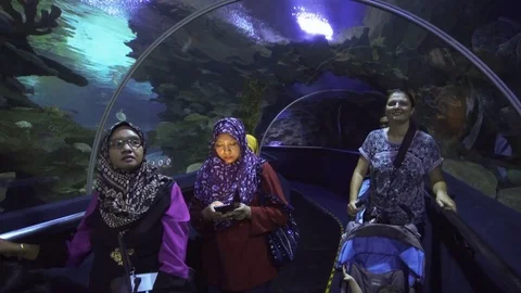 Families passing through the underwater tunnel at Aquaria KLCC. Stock Footage