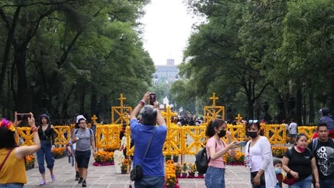 Families visiting the Chapultepec forest during the day of the dead. Stock Footage 243169749
