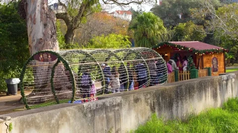 Families Waiting in Queue to visit Santa Claus House in Christmas Festival Stock Footage 295897312
