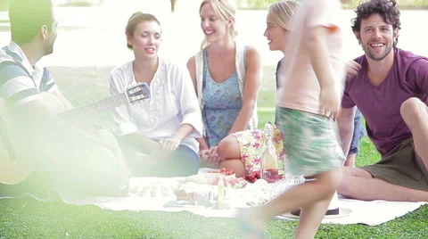 Family and friends enjoying summer picnic at the park Stock Footage