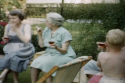 Family  Backyard Party Stock Footage 24741345