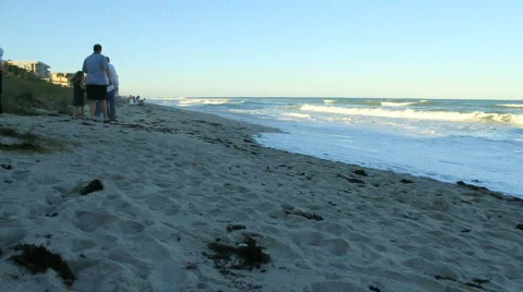 Family at Beach Stock Footage 610448