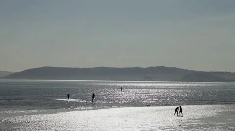 Family on the beach Video stock 22226468