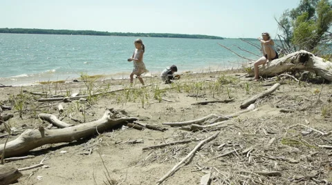 Family on the beach Video stock 54331570