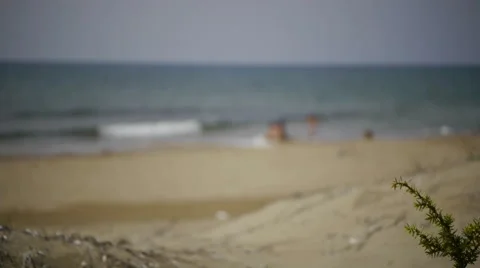 Family on the beach. Stock Footage 63799305