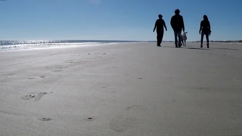 Family on beach Stock Footage 100290247