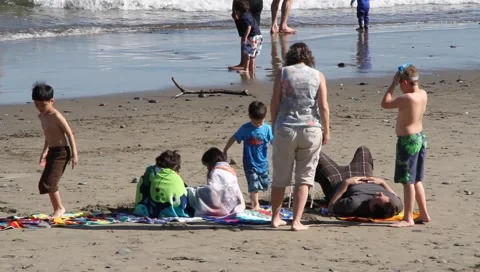 Family beach outing Stock Footage 4528204