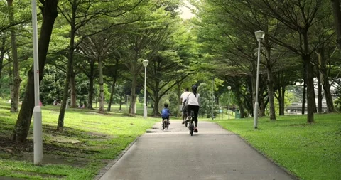 Family Biking on Tree-Lined Path in Green Park Stock Footage 332609570