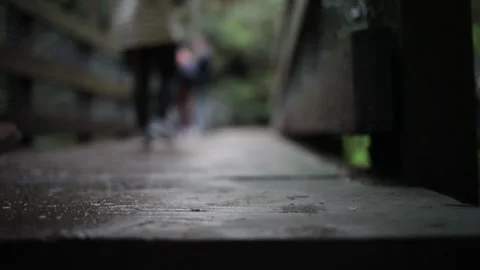 Family Bridge Stock Footage 197482233