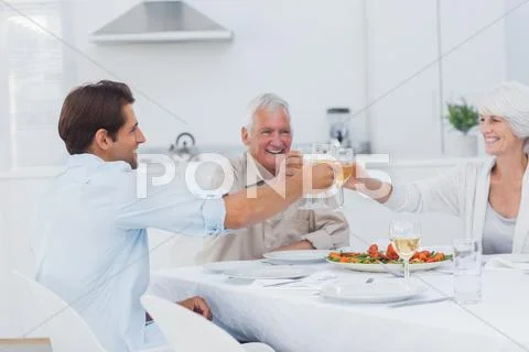 Family clinking their glasses of white wine Stock Photos