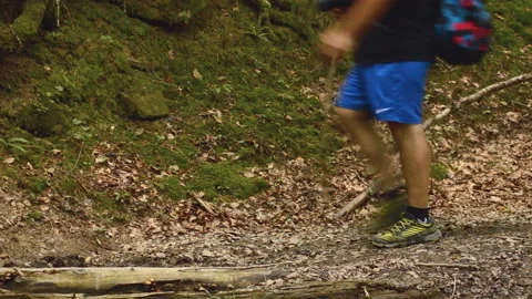 Family Crossing a Bridge In The Forest Stock Footage 97386853