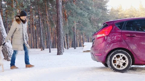 Family. Dad puts the Christmas tree in the car, next to son and dog. Christmas Stockbeeldmateriaal 99540887