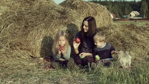 The family eats apples in a haystack in the field. Stock Footage 84186456