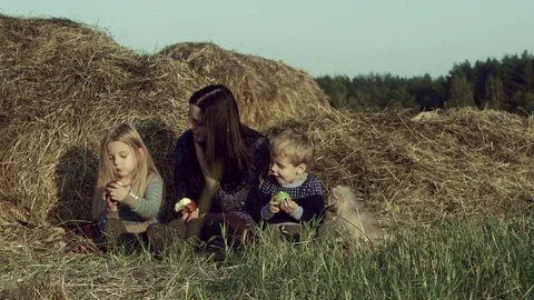 The family eats apples in a haystack in the field. Stock Footage 84186612