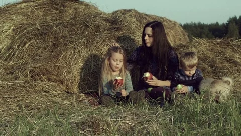 The family eats apples in a haystack in the field. Stock Footage 84186659