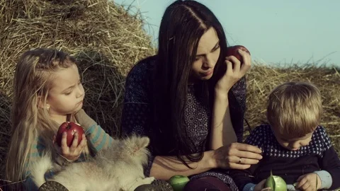 The family eats apples in a haystack in the field. Stock Footage 84186813
