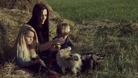 The family eats apples in a haystack in the field. Stock Footage 84186864