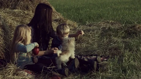 The family eats apples in a haystack in the field. Stock Footage 84186906