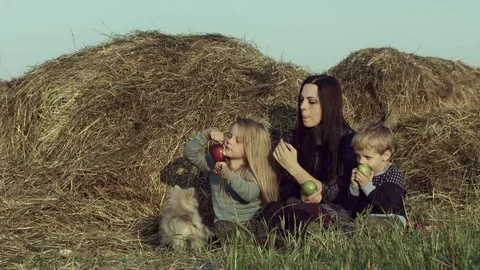 The family eats apples in a haystack in the field. Stock Footage 84186963