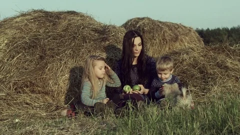 The family eats apples in a haystack in the field. Stock Footage 84186976