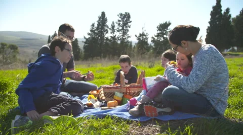A family with four children having a picnic in nature Stock Footage 59365535