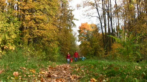 Family of four running in autumn park Stock Footage