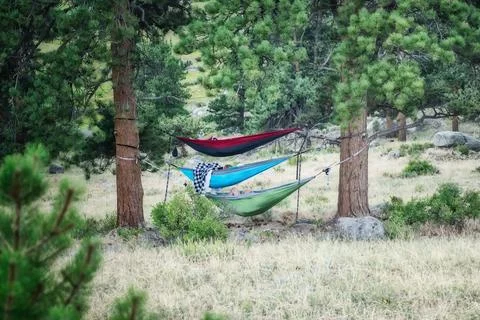 Family hammocks while camping Stock Photos