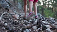 Family Lifestyle, Hiking In The Forest With A Child. Mother And Son, Child In Na Stock Footage