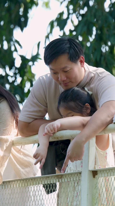 Family Looking Down From Bridge During Nature Outing In Thailand Stock Footage 336228311
