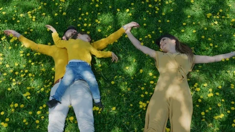 Family lying on grass Stock Footage 100002680