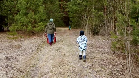 Family outing in the forest with children exploring nature on a sunny day Stock Footage 306437613