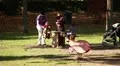 Family at park HD Footage