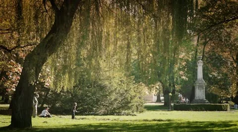 Family in the park Stock Footage