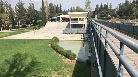 Family at the Park Stock Footage 89943912