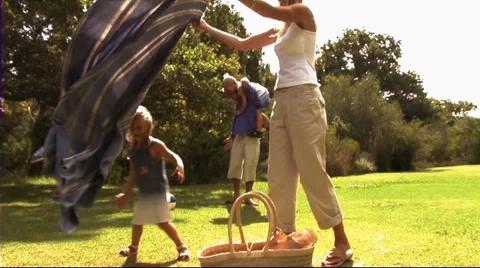 Family in Park with picnic Stock Footage