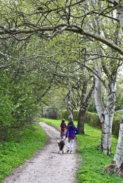 Family on a path in spring Stock Photos