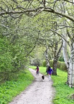 Family on a path in spring Stock Photos