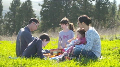 A family in a picnic out in the nature Stock Footage 59361656