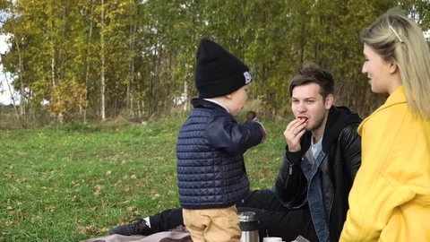 Family picnicking in the park. Stock Footage