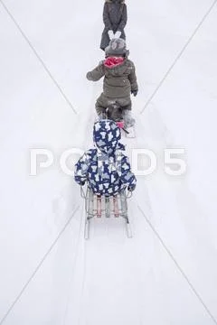Family Playing On Sleds On Snowy Street